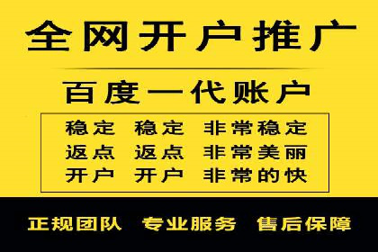 某品牌SEM广告投放效果全解析